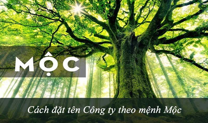 Đặt tên Công ty theo mệnh Mộc