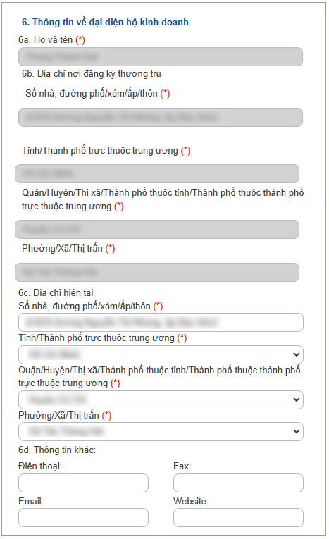thông tin đại diện hộ kinh doanh
